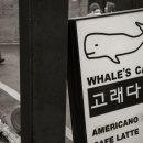 까페고래(cafe whale)