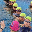 판동초등학교 이미지