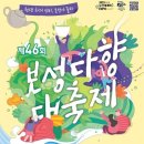 새보성식당 네이버블로그