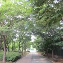 배다리공원 이미지