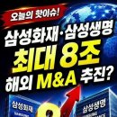 삼성화재·삼성생명 최대8조 해외M&amp;A 추진?..... 돈의 흐름이 바뀐다 이미지
