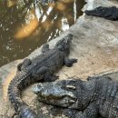 광의농장 이미지