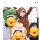 삼시세끼돈이생각날때 이미지