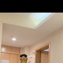 시연민박 이미지