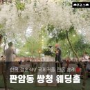 대전국제결혼 | 대전 쌍청 웨딩홀 야외 결혼식 | 전통 혼례 견적 공유🎎
