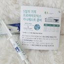 카니코리아 | 강아지 설사·변비로 고민할 때, 5일의 기적 카니제스트 콤비 직접 먹여본 후기
