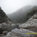 용소농장 이미지