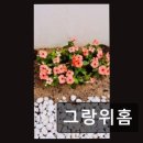 남천1-204 네이버블로그