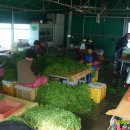 화왕산산림욕장 이미지