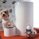 삼성애견 이미지