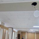 용인대 매화태권도 이미지