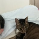 지에스(GS) 구리원일 | 주간일기 - 7월 31일부터 8월 5일까지