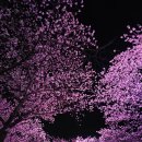 달창로,달창로26길 이미지