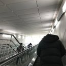 노모어피자경희대점 이미지