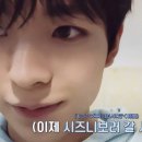 눈나무집 이미지