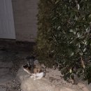 피아골 숲숨집 이미지