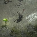 황금고블린 이미지