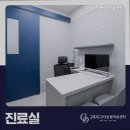 고덕24시 동물병원 네이버블로그