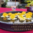 동다송 - 과천시 광창로 50 | 초의 선사 동다송 1｜우리 차 문화를 정립한 최고의 다서, 다도 정신의 시작