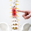 발산마곡올바른마취통증의학과의원 이미지