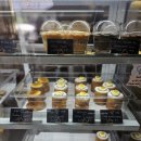 히포레스트(Hipporest) 이미지