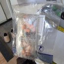 두   암 | 자궁내막암1기 / 두번째 소파술 / 아주대병원 통원수술 후기 / 응급실행