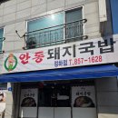 안동돼지국밥 | 안동국밥맛집 // 안동돼지국밥 정하점