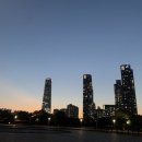 미쓰박 펫 살롱 이미지