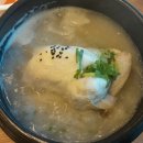 닭올닭 이미지
