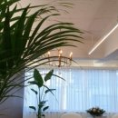 바비헤어샵 이미지