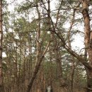 솔내음 경로당 이미지