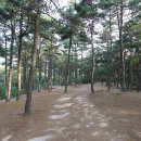 파인힐 캠프 이미지