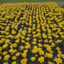 래미안-신한은행사거리 횡단보도 | [2026년 4월 14일(화요일)] 경상북도 경주시 당일치기 힐링여행 겸 식도락투어(서울 → 경상북도 경주시...