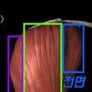 헬스온더비치 이미지