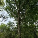 강골민박 | 보성군 강골마을