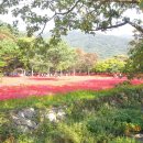 [제144차정기산행] 전남 영광군 불갑면 모악리 불갑산(佛甲山, 516m, 20200919) 산행계획 - 취소됨 이미지