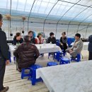 동문농장 이미지