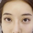 속눈썹언니 네이버블로그