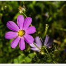 부영공원 이미지