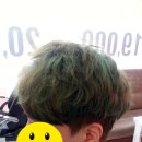 뽀끌레미용실 네이버블로그