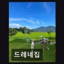드레네집
