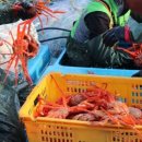 대흥 수산 이미지