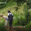 숲이좋아민박 이미지