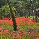 거창-북상-3 이미지