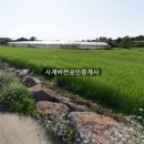 평화로 L 이미지