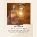 K-메디코스 | 에끌라 뒤땅 비올라 트리컬러 워터드롭