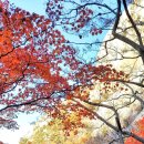 서강대학교 기술경영전문대학원 이미지