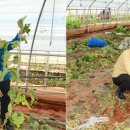 도포농협 이미지