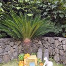 어썸스테이 이미지