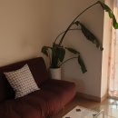 학하민박 | 칠곡 가산 숙소 조용히 머물 수 있는 깨끗하고 예쁜 민박 학하 민박